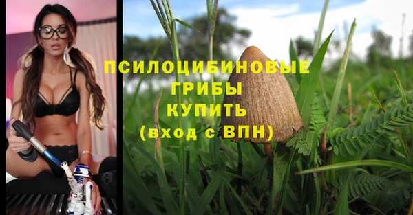 амфетамин Заволжск