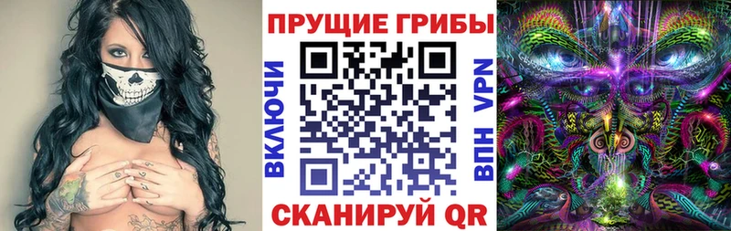 Галлюциногенные грибы Cubensis  купить закладку  Калининск 