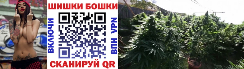 Каннабис план  Калининск 